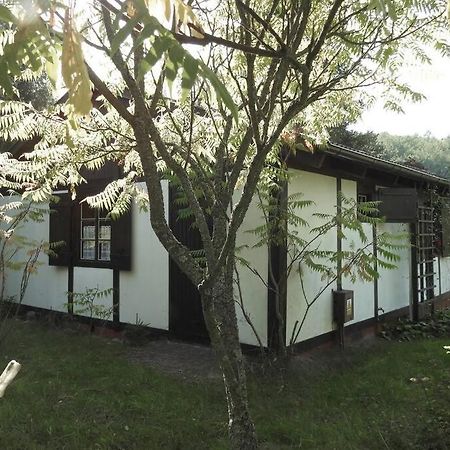 Modrzewiowy Domek Letniskowy - Stare Czaple Brodnica  Exteriér fotografie