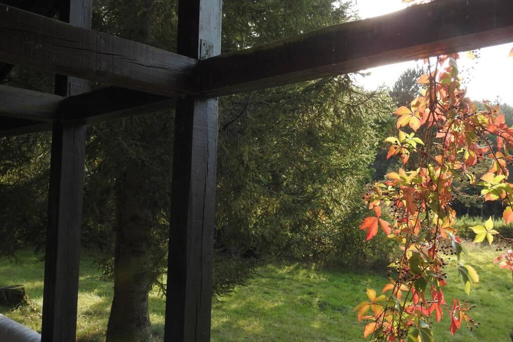 Modrzewiowy Domek Letniskowy - Stare Czaple Brodnica  Exteriér fotografie