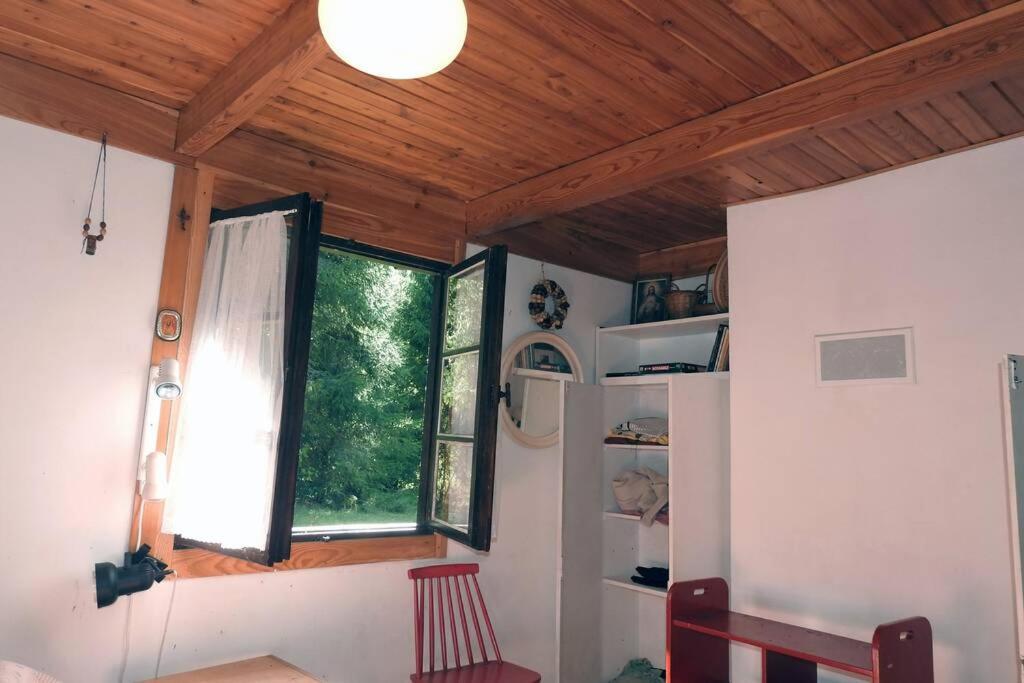 Modrzewiowy Domek Letniskowy - Stare Czaple Brodnica  Exteriér fotografie