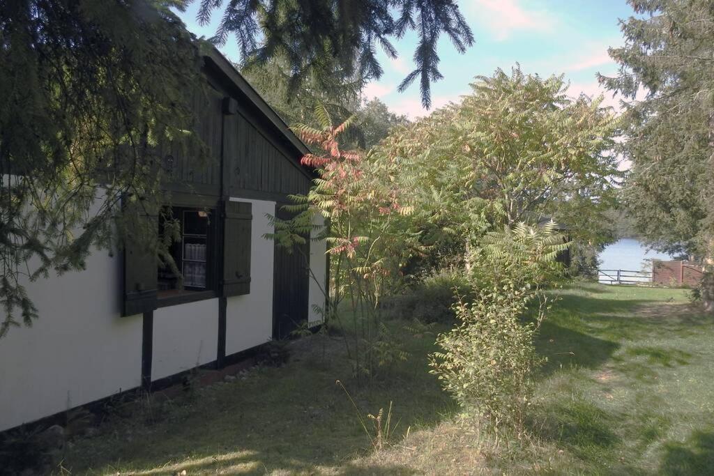 Modrzewiowy Domek Letniskowy - Stare Czaple Brodnica  Exteriér fotografie