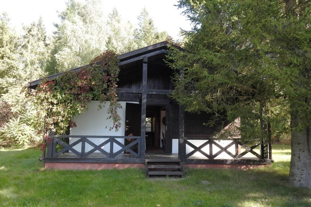 Modrzewiowy Domek Letniskowy - Stare Czaple Brodnica  Exteriér fotografie